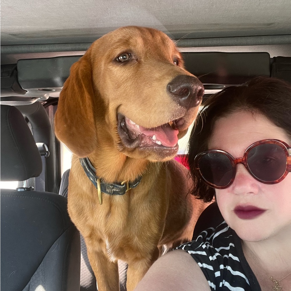 Meet your Posher, Cassie